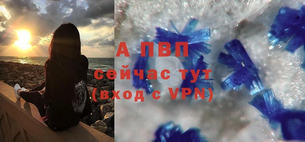 ГАЛЛЮЦИНОГЕННЫЕ ГРИБЫ Няндома