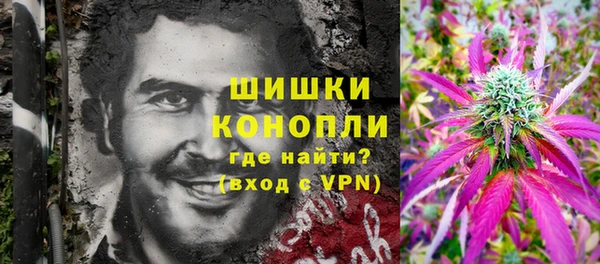 гидра Армянск