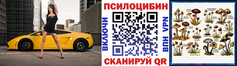 Галлюциногенные грибы Psilocybine cubensis  Петушки 