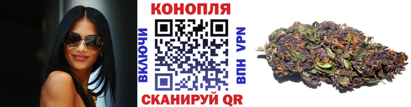Конопля план  Петушки 